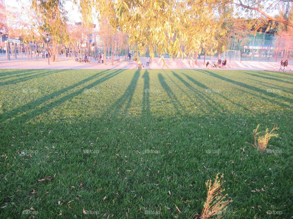 rest in the park, in the city, autumn, october