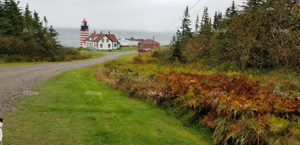 Stormy day at West Quoddy Head in Lubec Maine