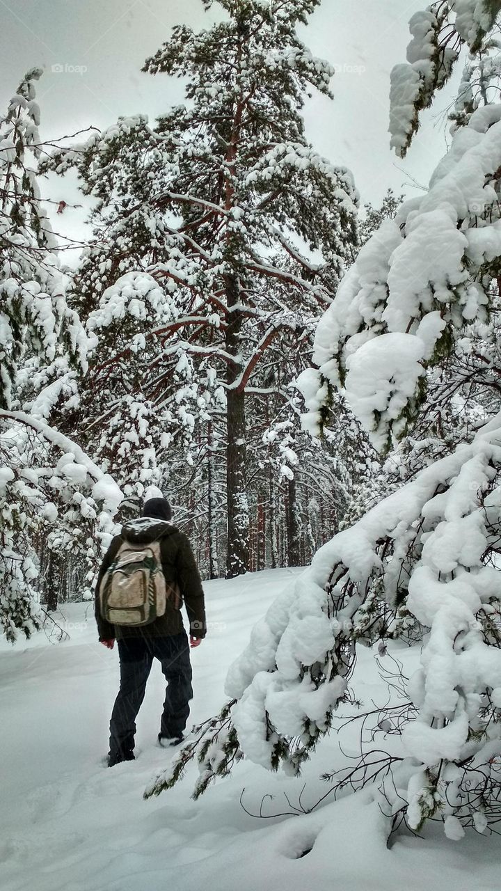 Winter hike