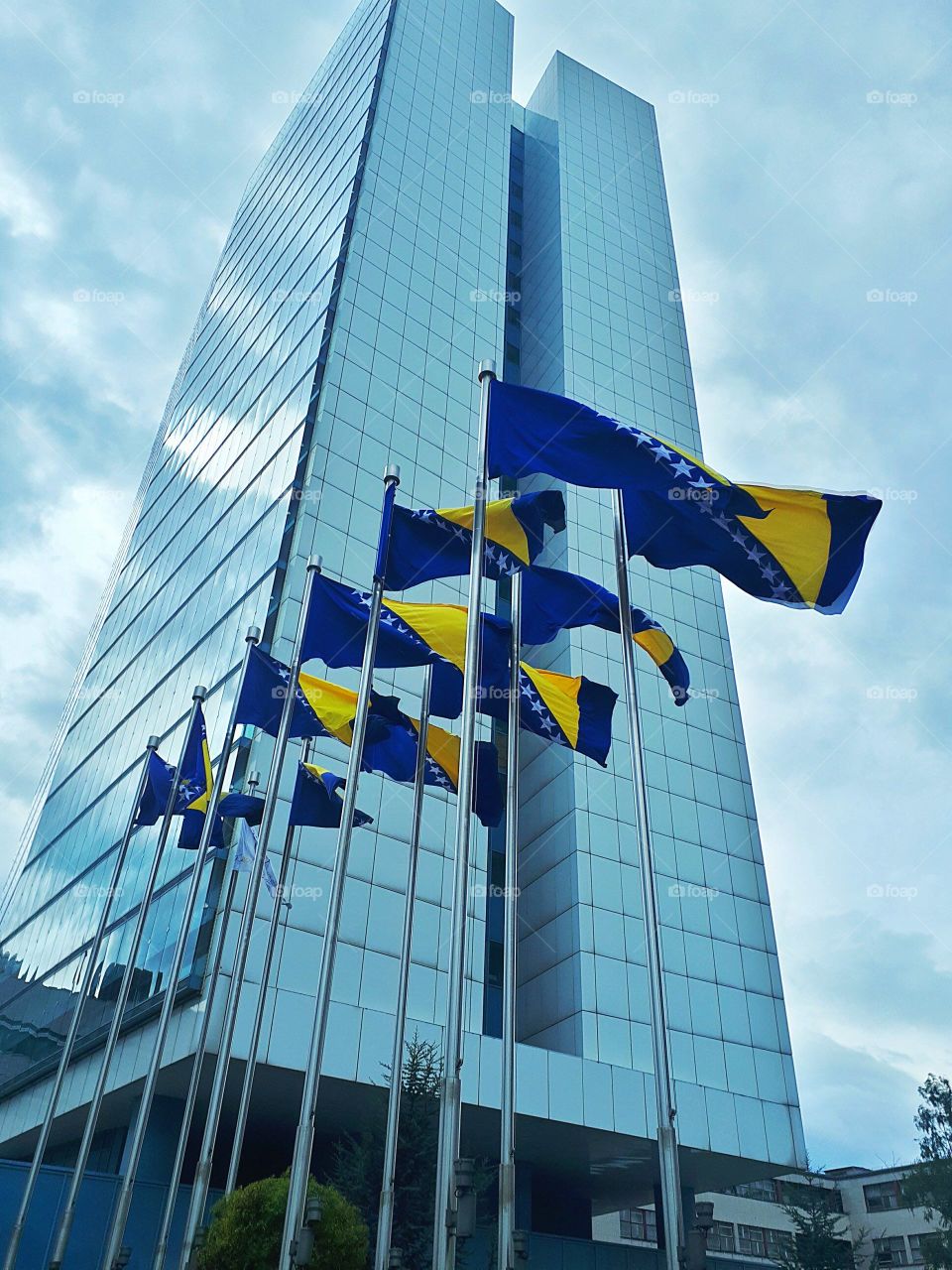 The flag and colors of my state Bosnia and Hercegovina