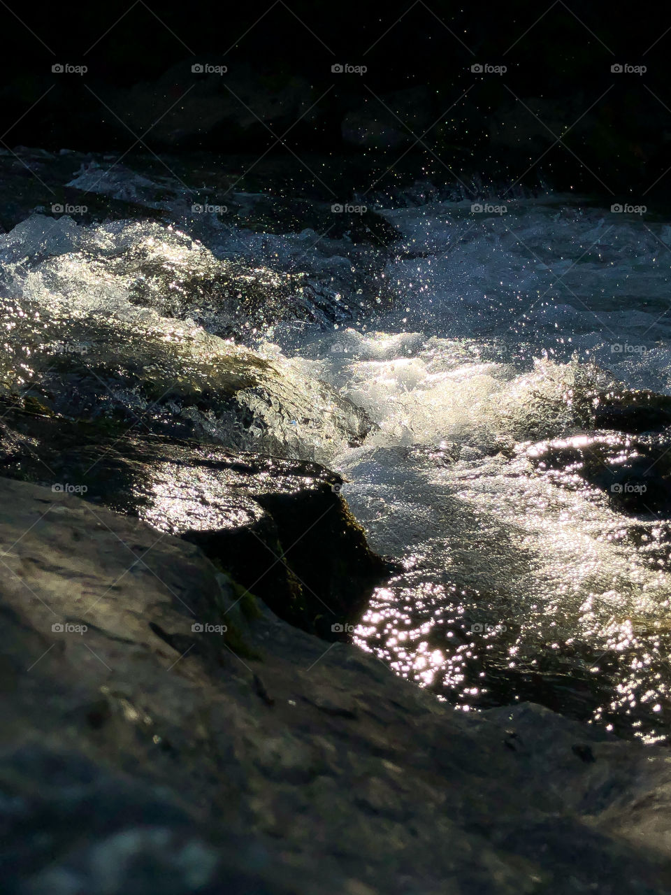 View of the the River 