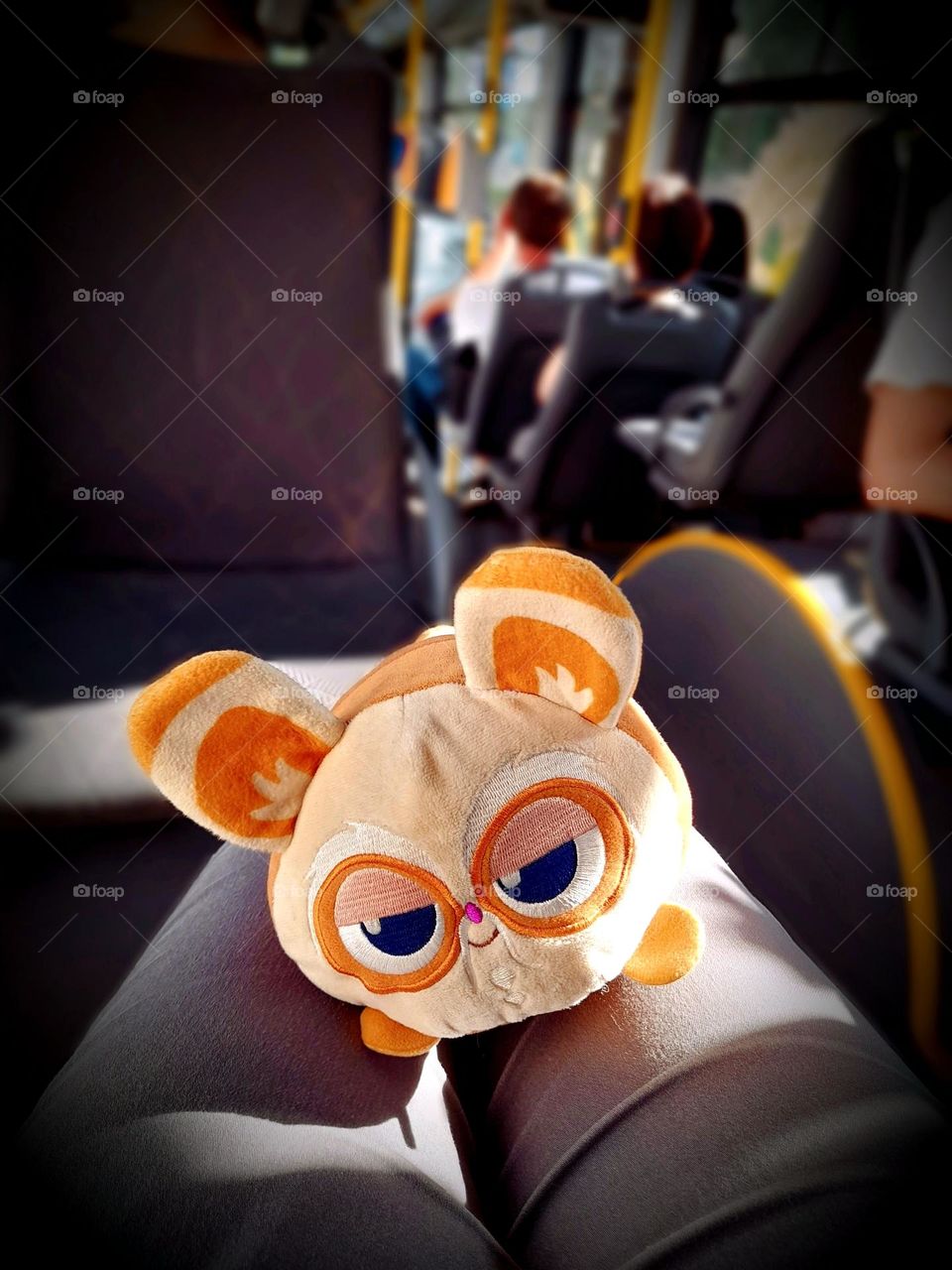 A plush toy in a bus