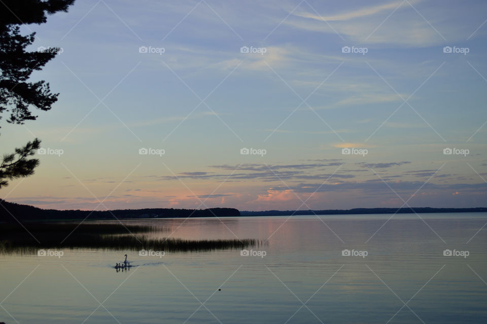 beautiful summer sunset on the lake