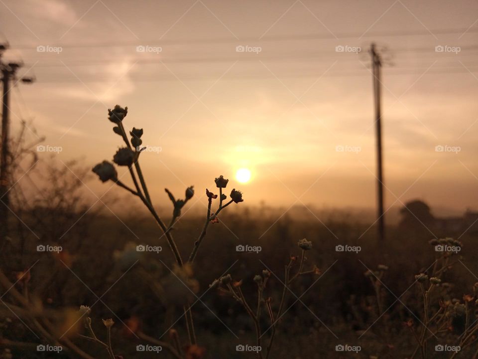 A beautiful evening view of indian village