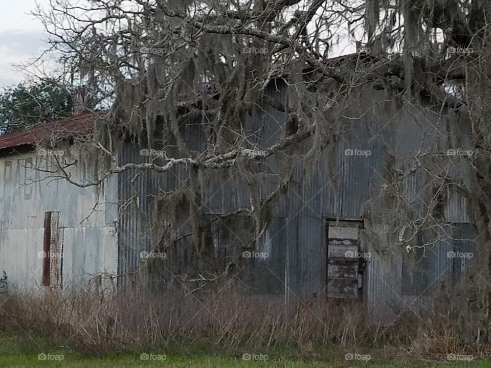 Creepy Abandoned Building