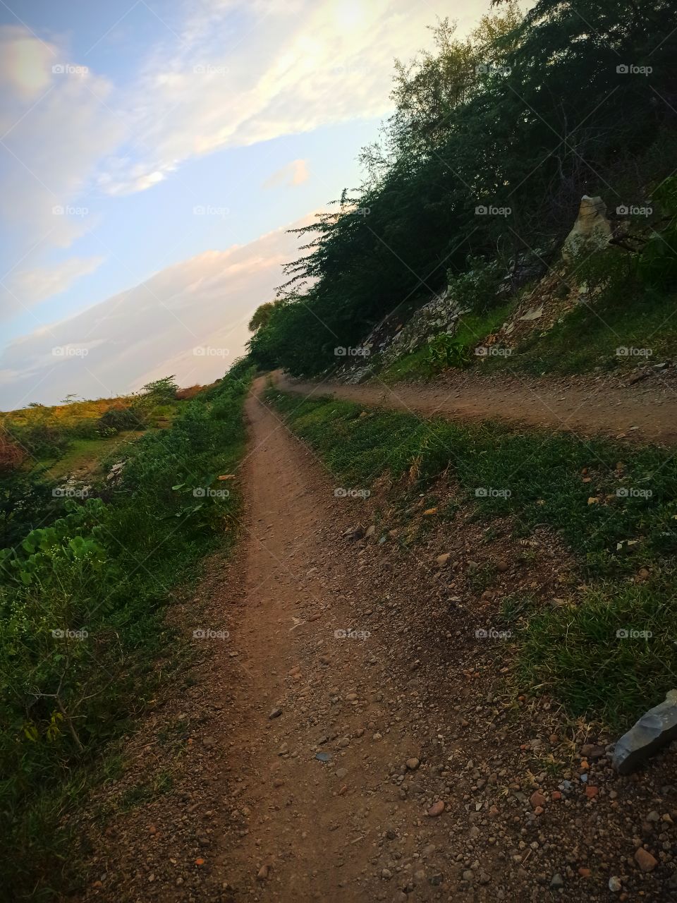 no filters alone.....