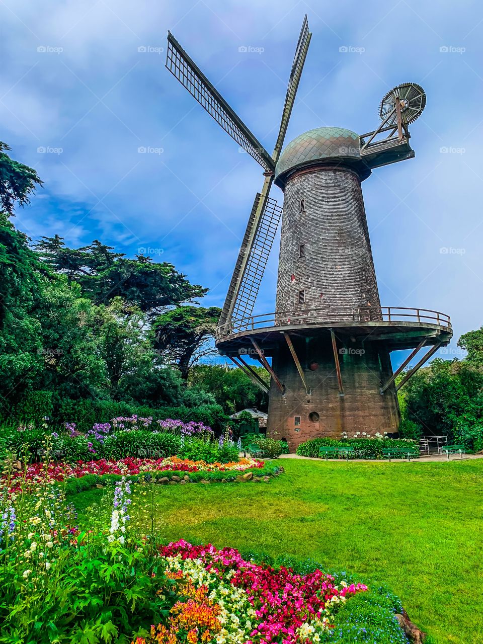 This is a giant and lush garden filled with colors and shades of flowers and trees. The windmill is an open of Dutch windmill and is located in San Francisco at the golden gate park. It is quite a sight to behold for anyone and mesmerizing.