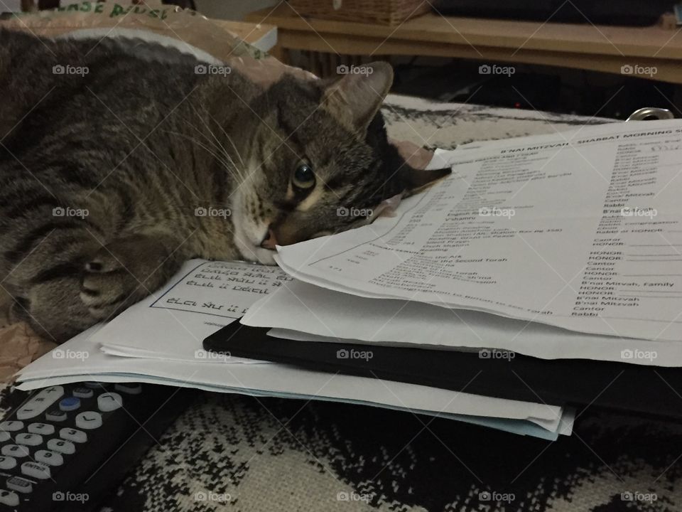 Paper makes a great pillow!