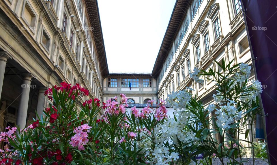 Plants in the City Barcelona in front of a Uffizi Gallery