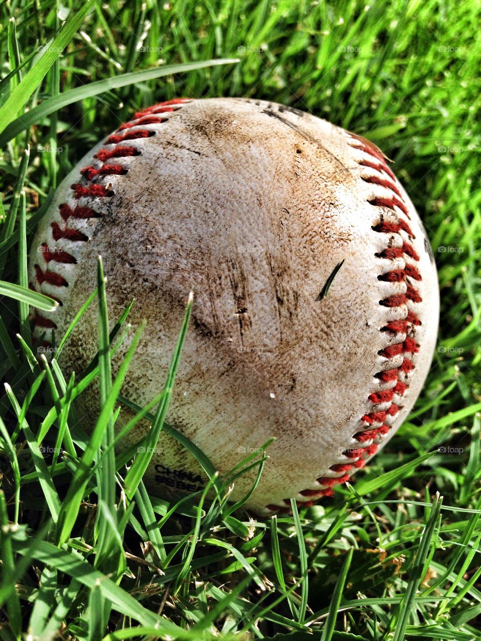 Sports for life. Baseball in the grass
