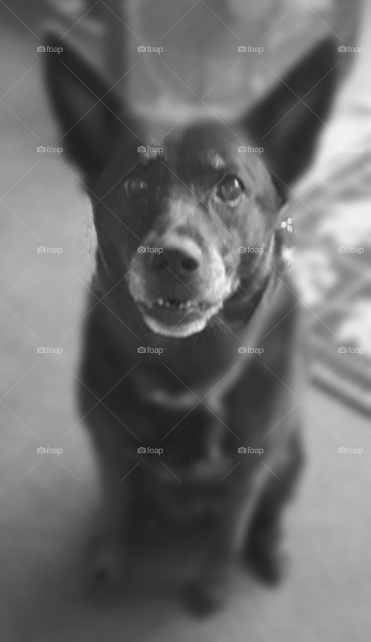 Well, Where's the treat?