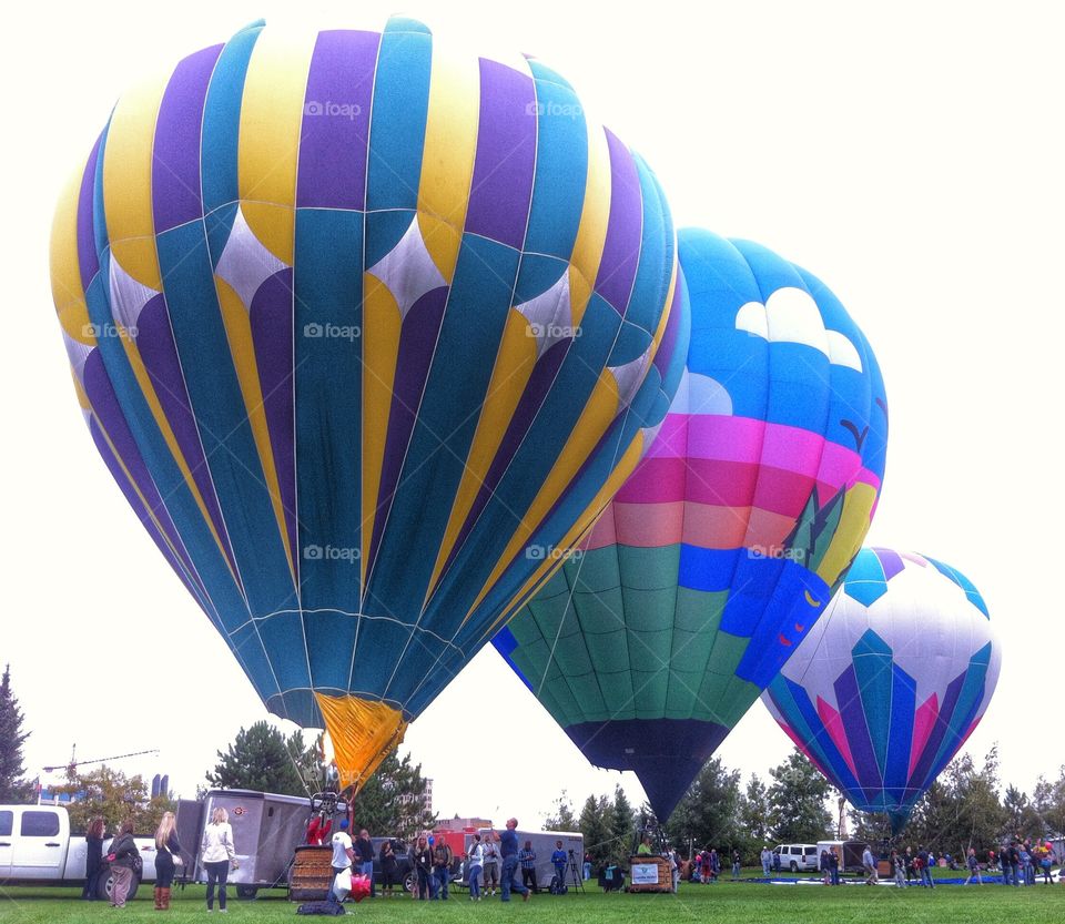 My beautiful balloons. Hot air balloon festival