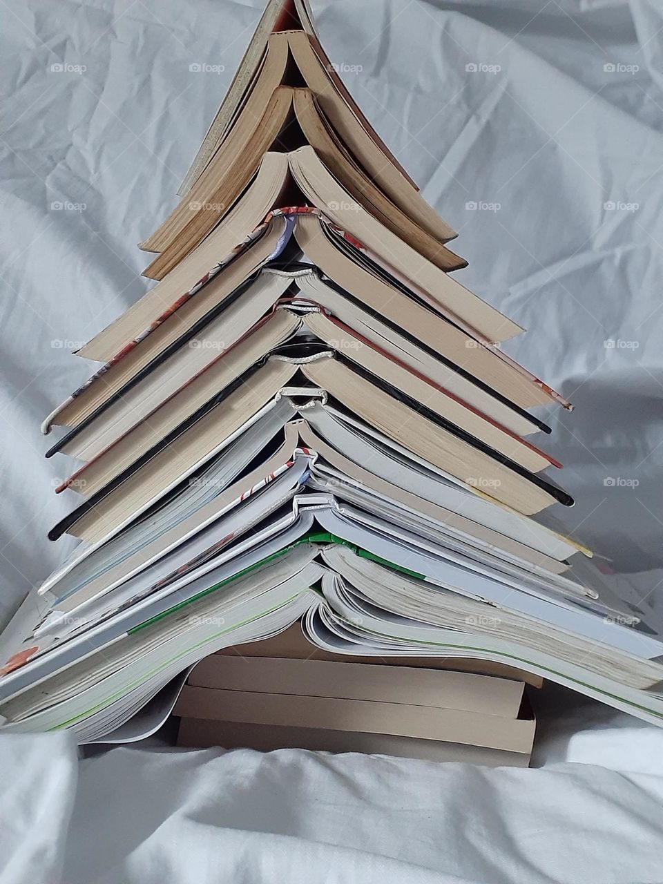 Christmas tree this year