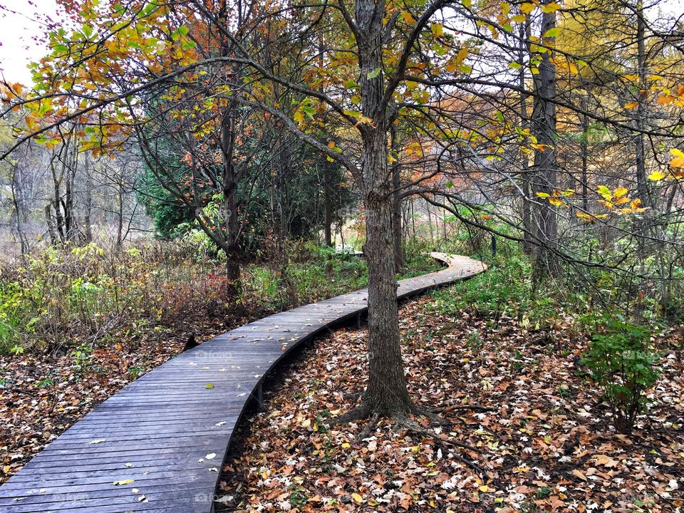 Fall foliage and path at Eloise Butler Gardens 