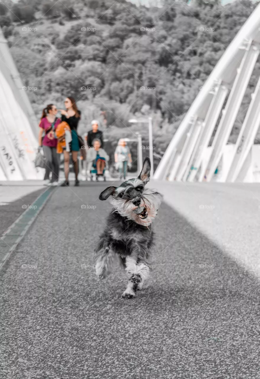 Running away