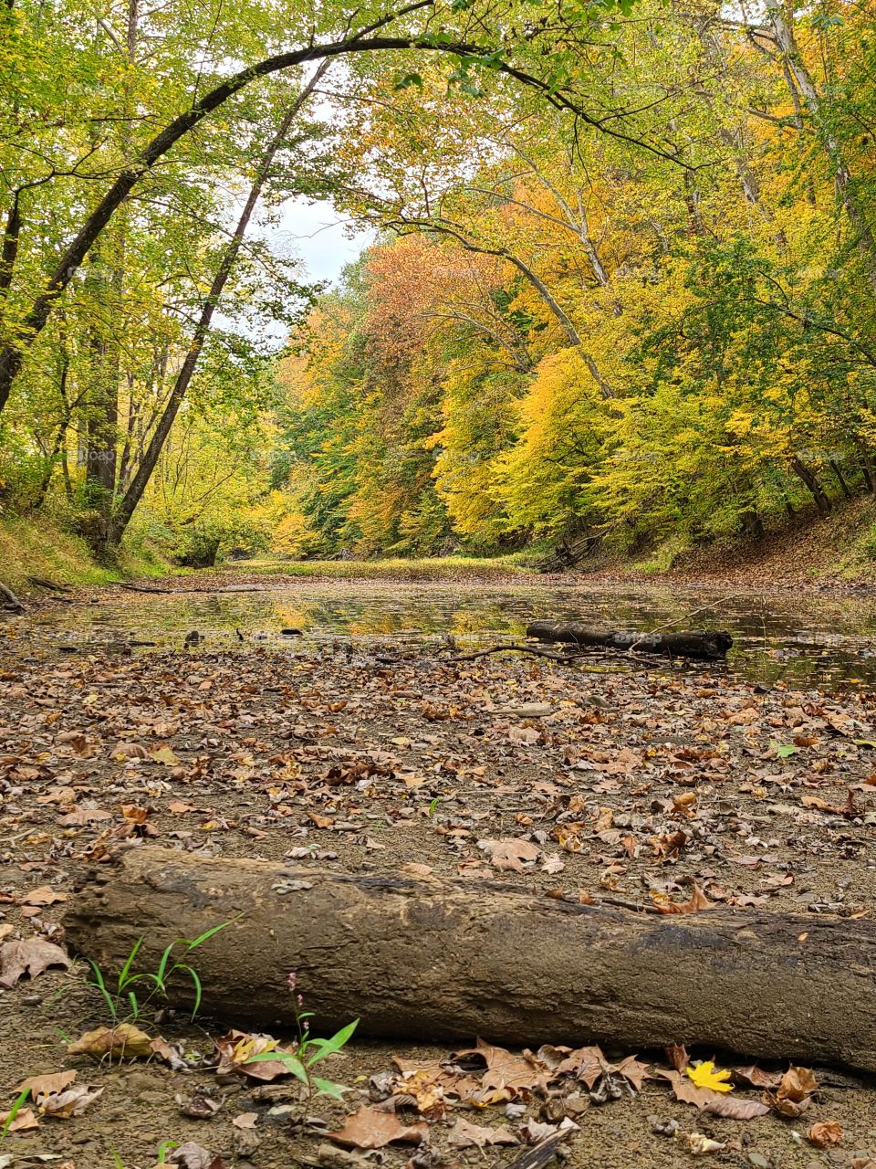 Salt Creek on a warm Autumn day, Nashville, IN