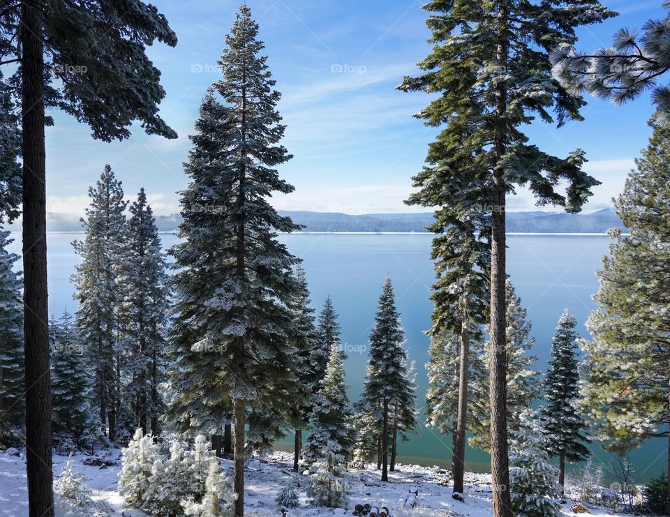 Wonderful morning view of snow trees and serene lake in the mountains 