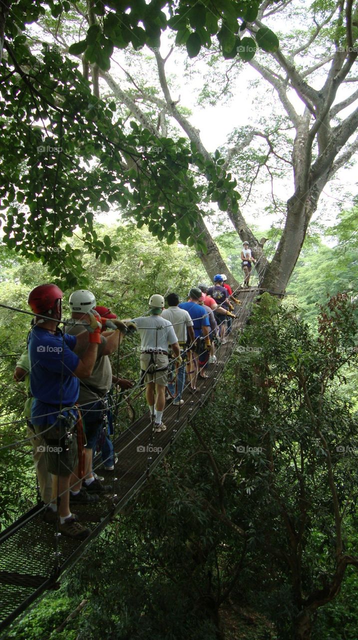 Bridge in rain forest in Nicaragua.