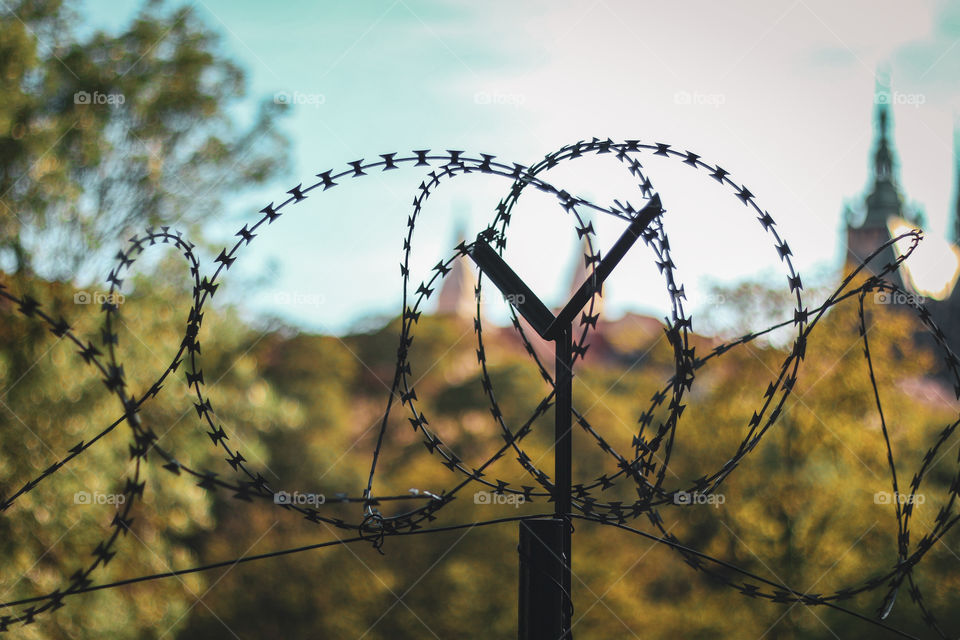 barbed wire close-up