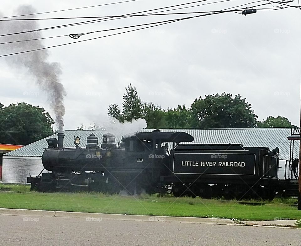Little River Railroad, Coldwater, MI