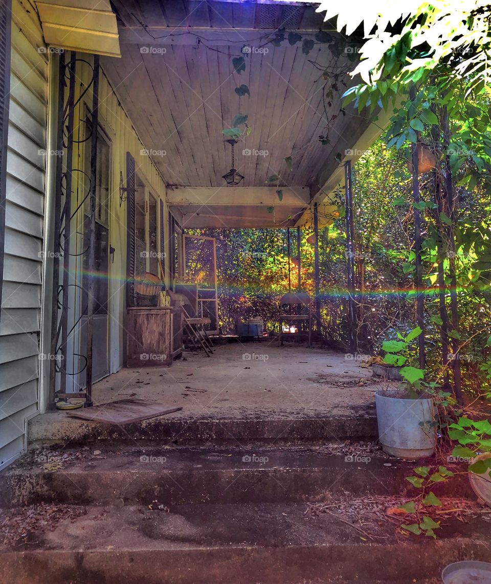 Hidden In The Trees #2💗