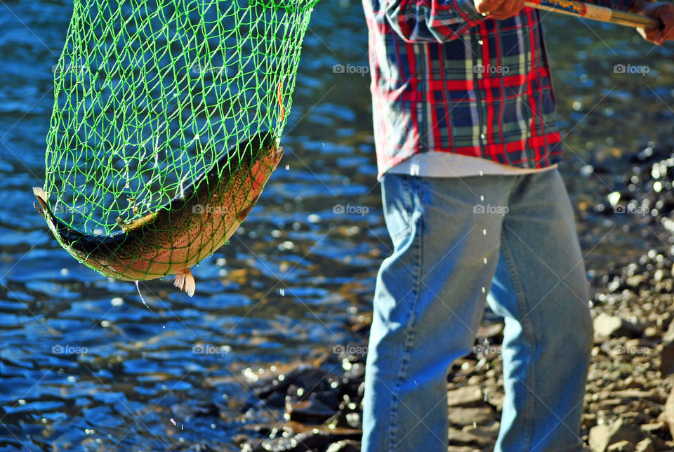 fresh catch Fish in net by the lake