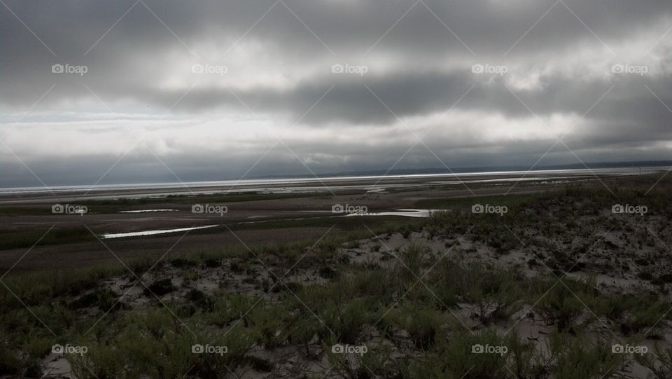 Sandy Neck