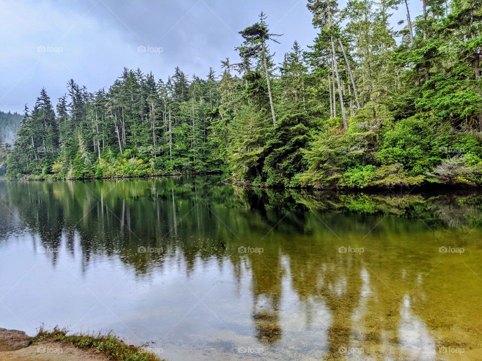 Reflection in the lake