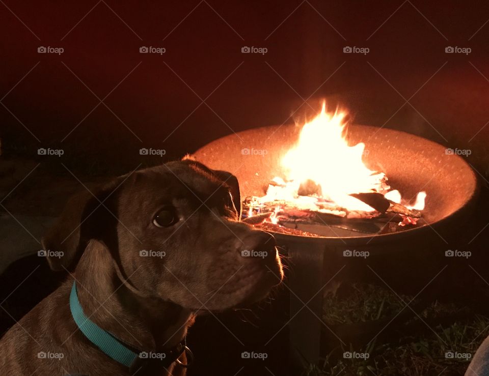 You got marshmallows?