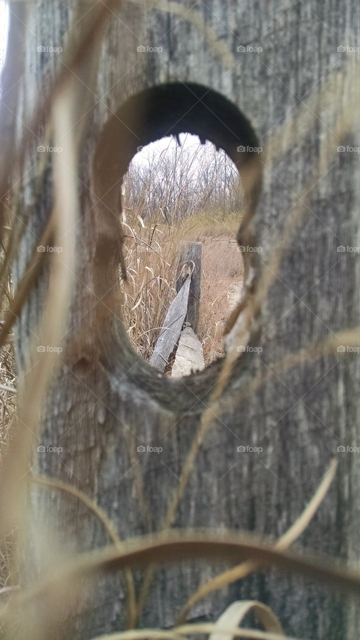 Fence Through a Fence