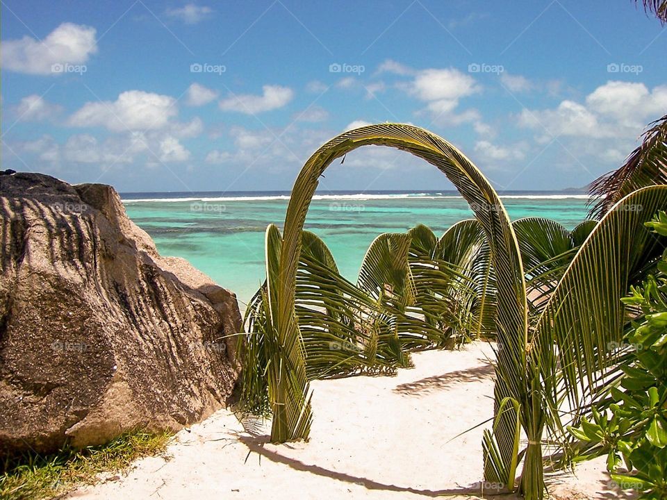 palm's arch in front of Sea in Seychelles Islands