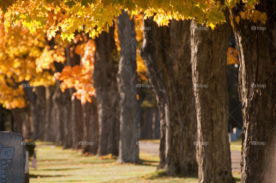 gilford new hampshire fall autumn cemetery by bobmanley