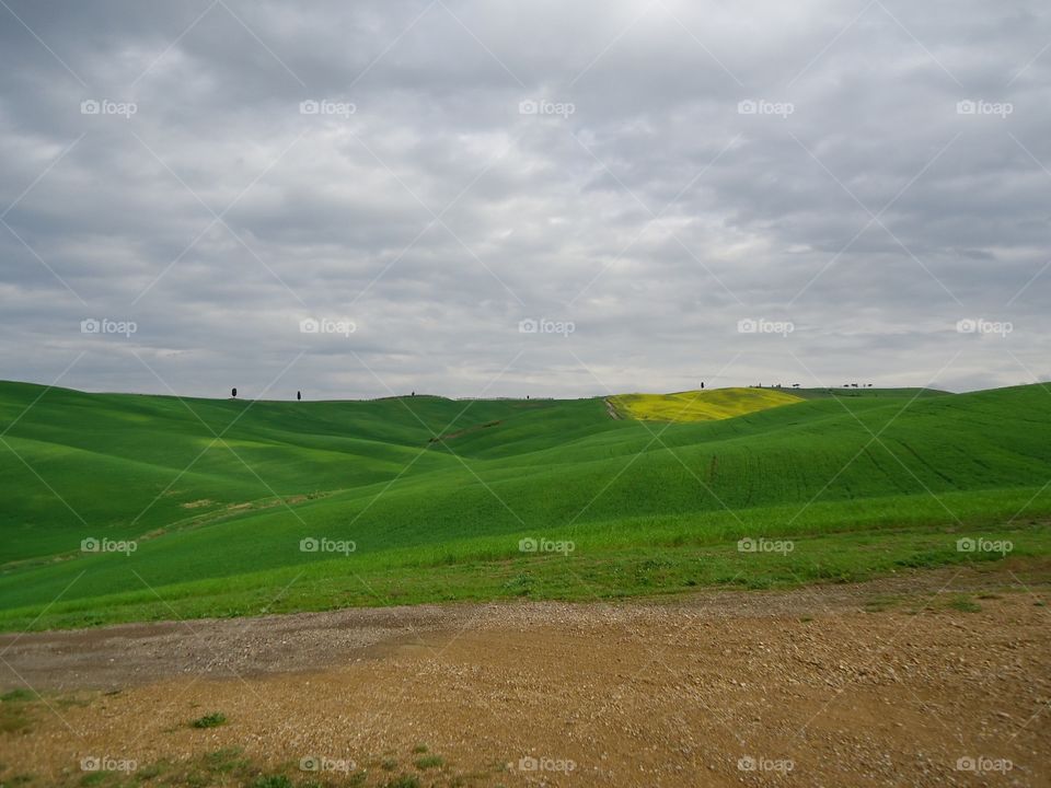 Open field. Open field full of grass in Tuscany,Italy