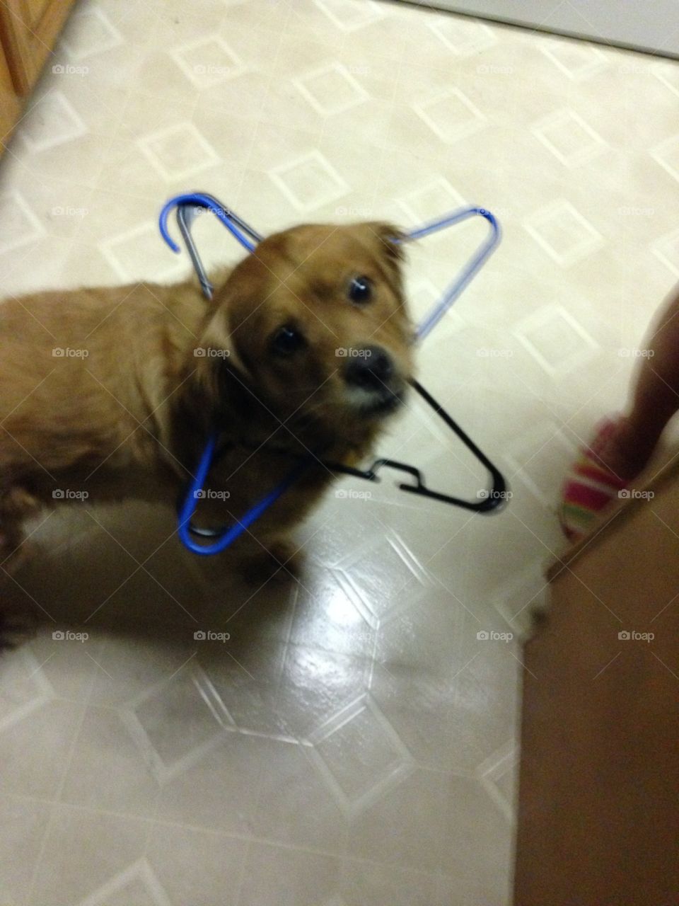 Dont even care I put hangers on his head HAHA