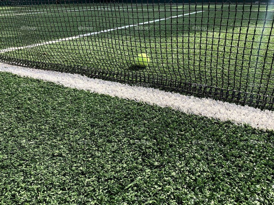 Tennis ball on grass court