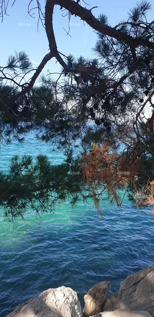 beautiful coastline