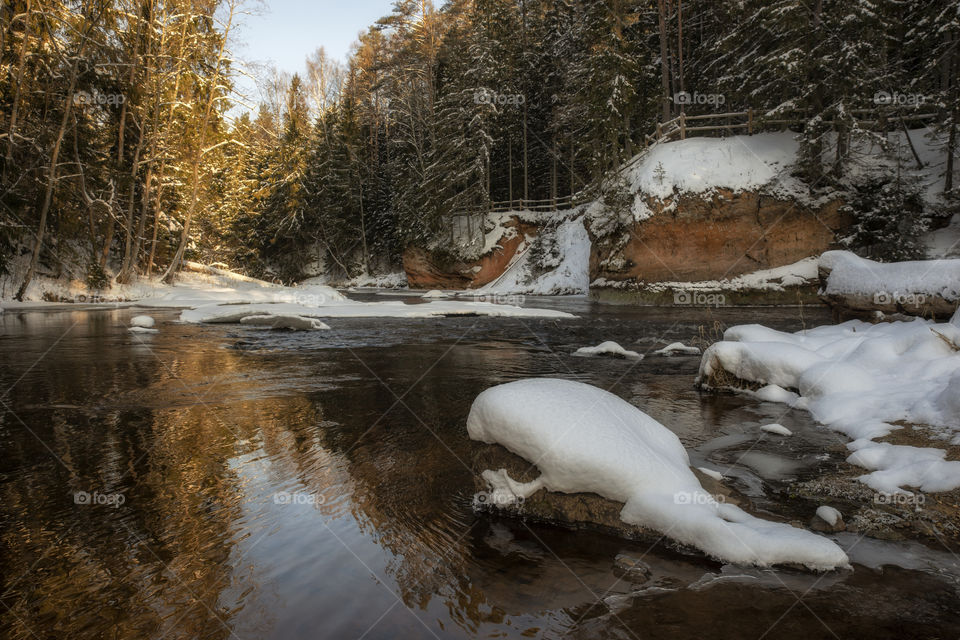 Winter. Snow. Cold.