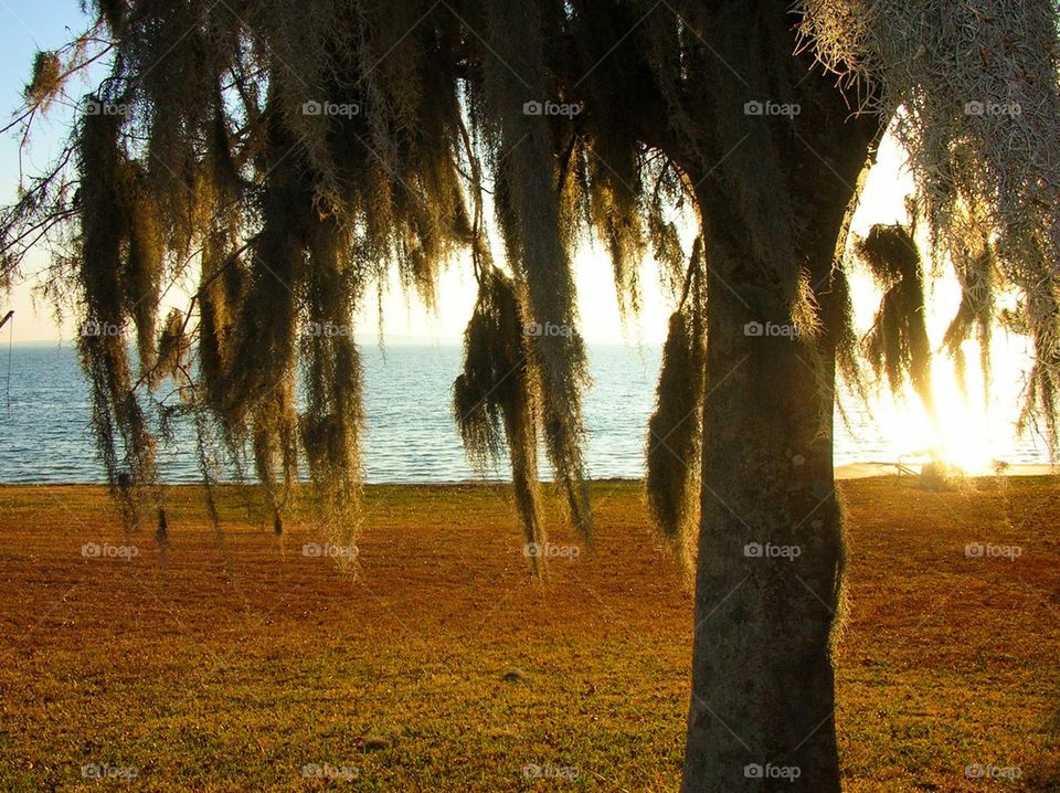 Scenic view of beach