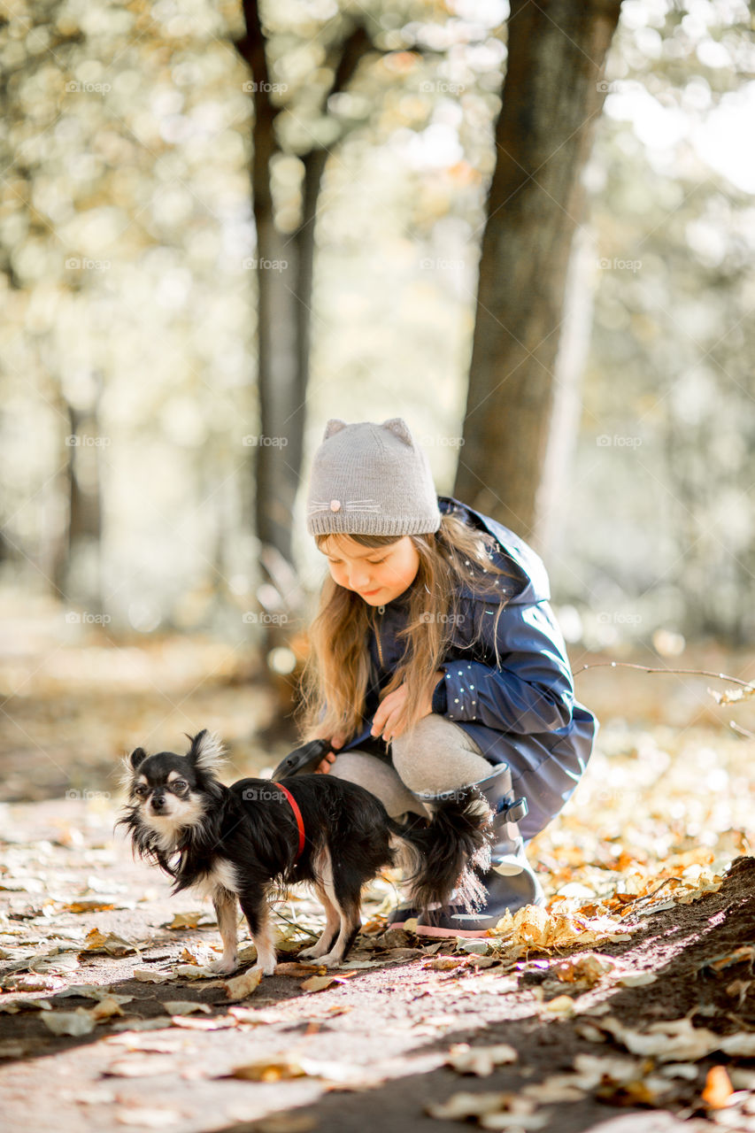 Little girl in waterproof boots walking with chihuahua dog 