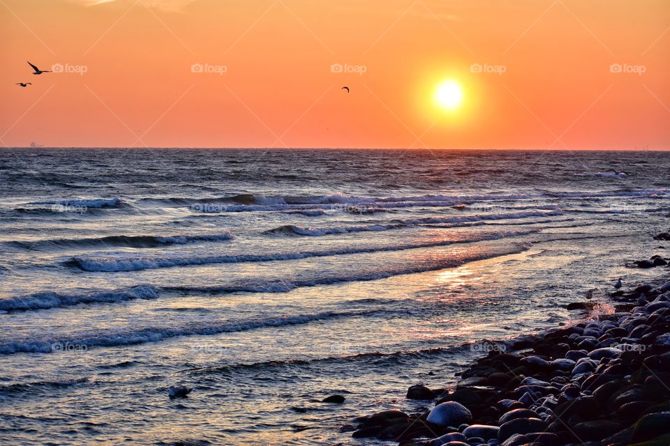 Sunset, Water, Dawn, Sea, Ocean