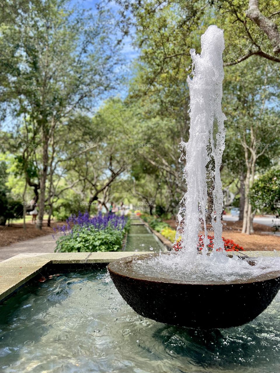 Bubbling fountain in foreground on a sunny day. Background in city park with trees, gravel walking path, and spring blooming plants.