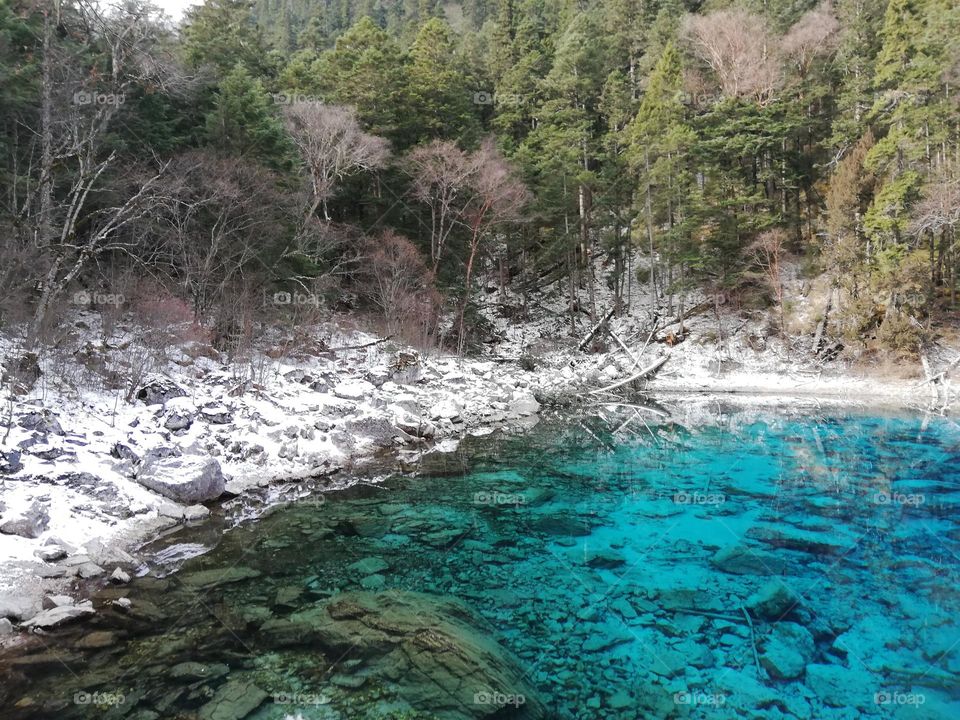 Lake of The Winter 