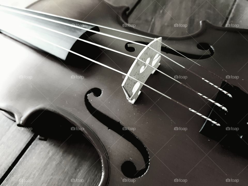 Detail of a violin in monochrome