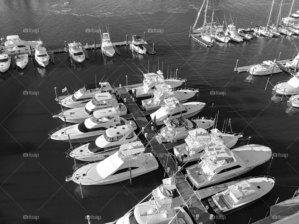 Canal of Yachts