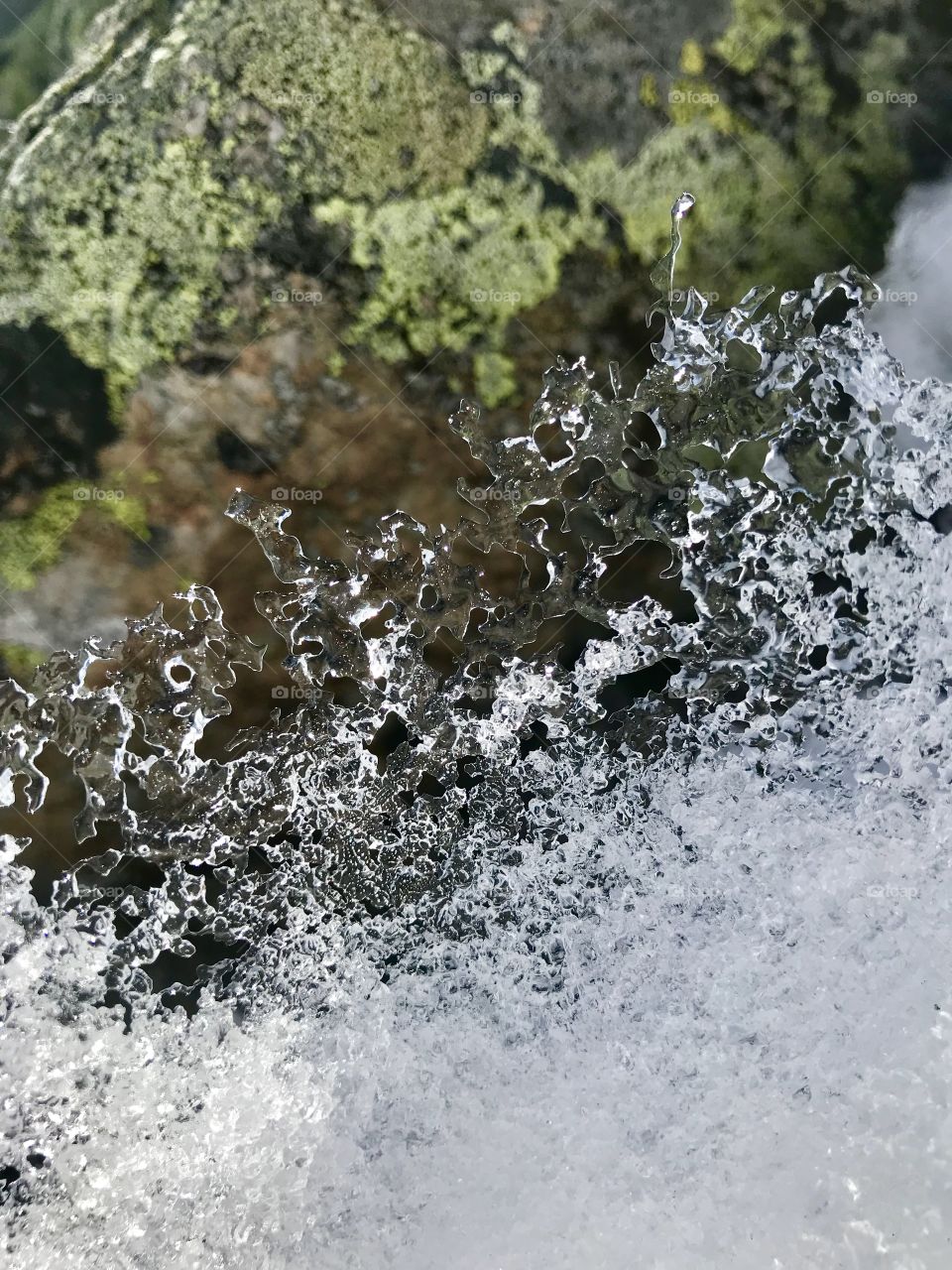 Ice Moss and Stones 