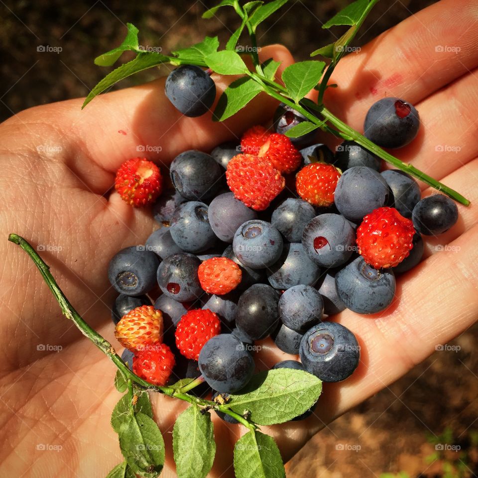 fruit