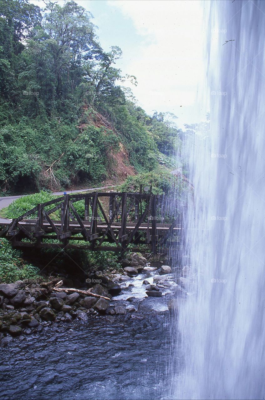 waterfall bridge tropical River Jungle Road