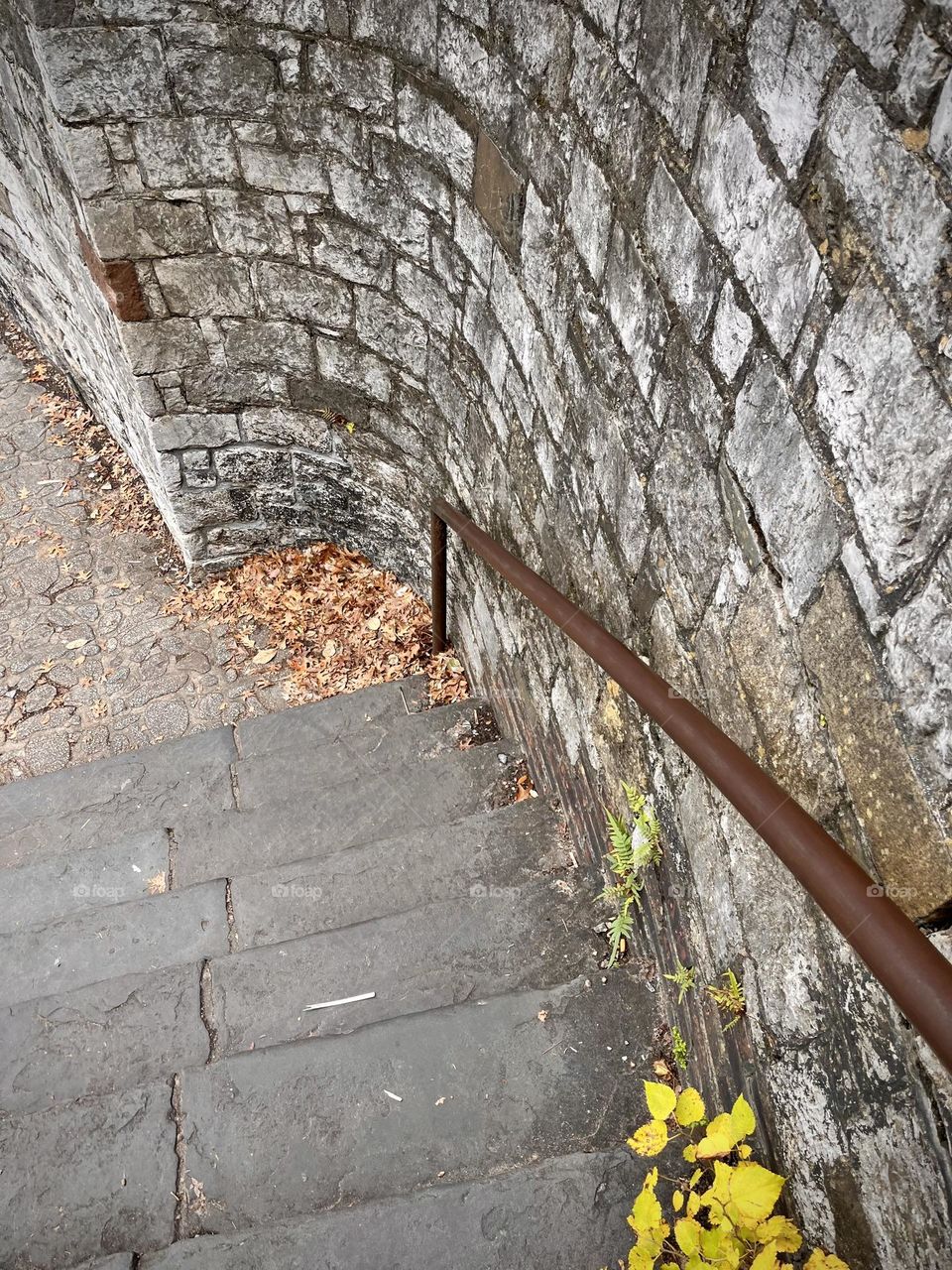 Ferns starting their takeover of an old southern staircase in Savannah, Georgia 