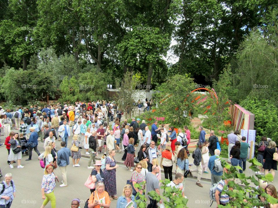 chelsea flower show