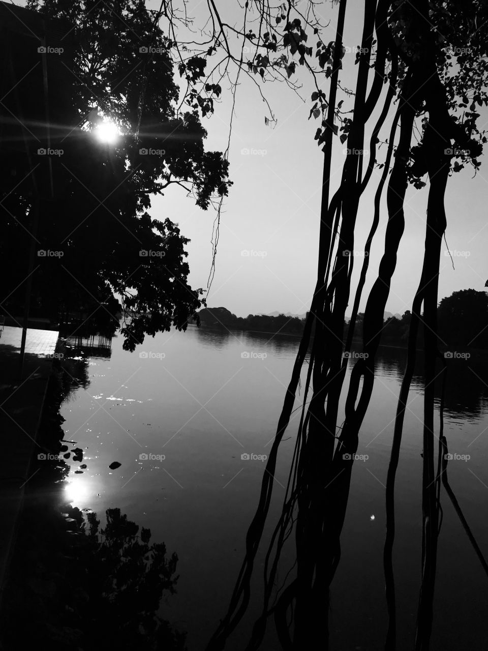 Shining sun in black and white 